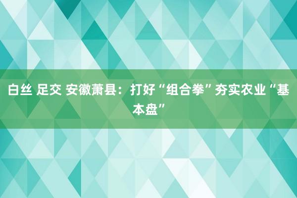 白丝 足交 安徽萧县：打好“组合拳”夯实农业“基本盘”